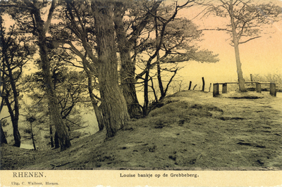 13356 Gezicht op enkele loofbomen en het Louisebankje in het Heimersteinsebos op de Grebbeberg te Grebbe (gemeente Rhenen).